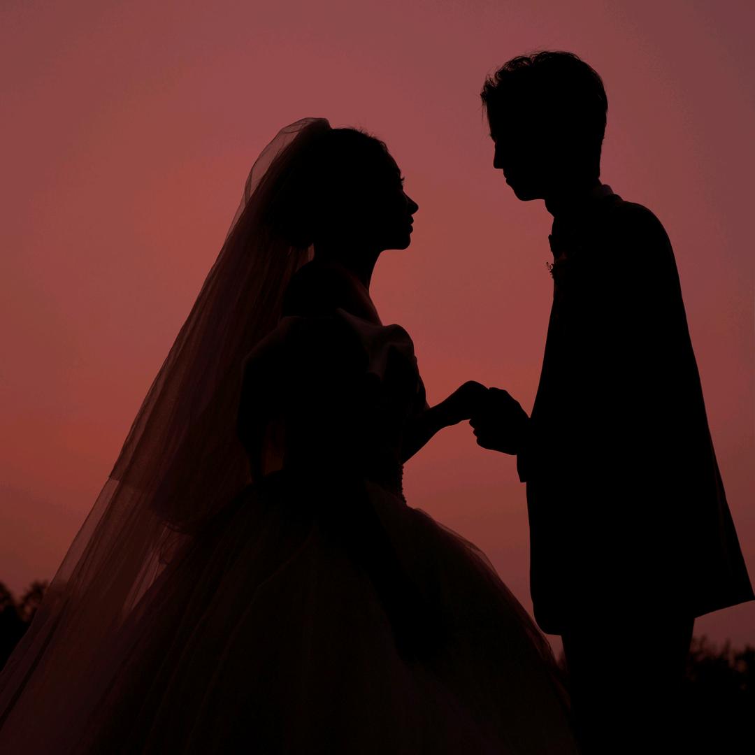 树子一叶的小跟班