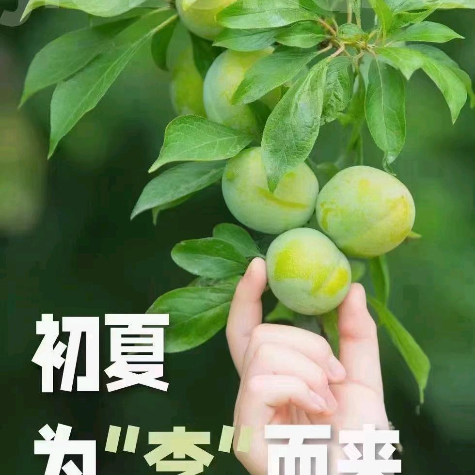@于家@姑凉