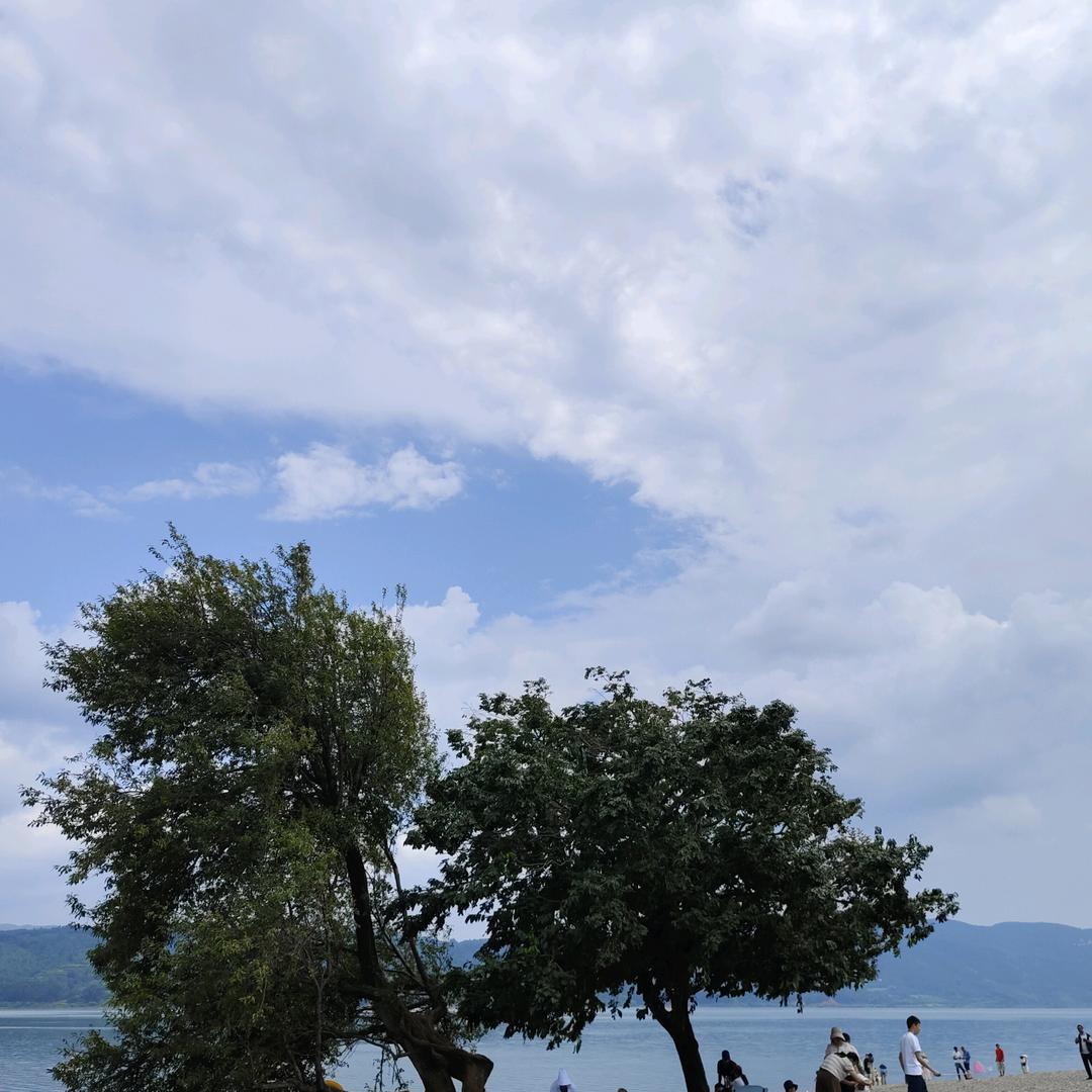 @✨一杯🧊可乐🥤