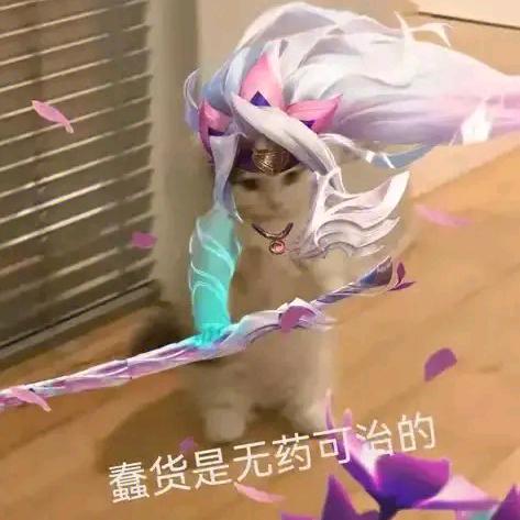 你个小豆渣