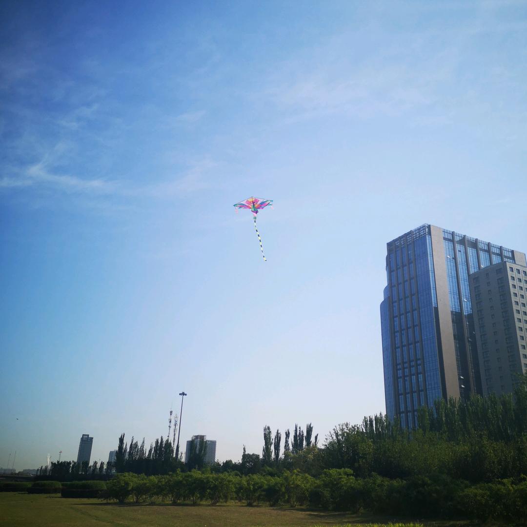 大碗香打卤面