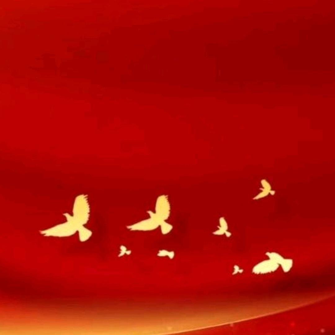 文学与中国文学史