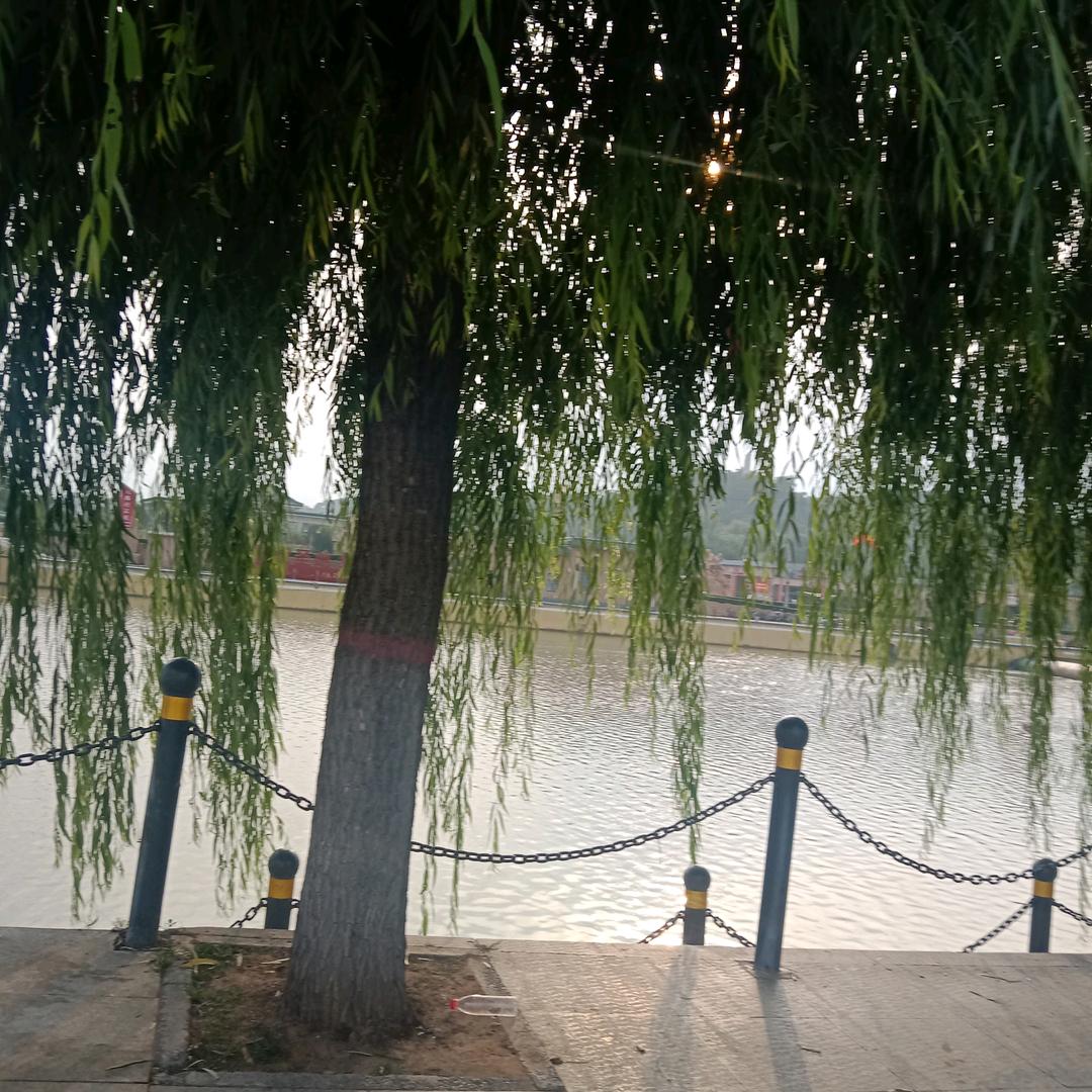 无所谓