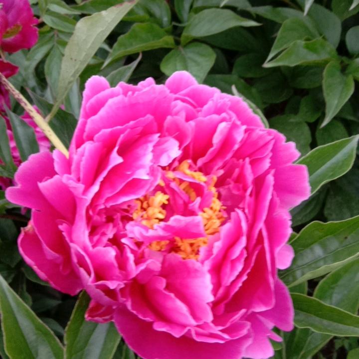 人生本是过客……