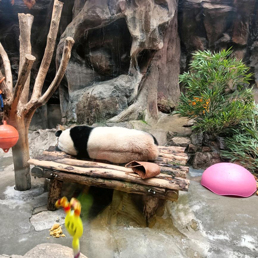幸福多多