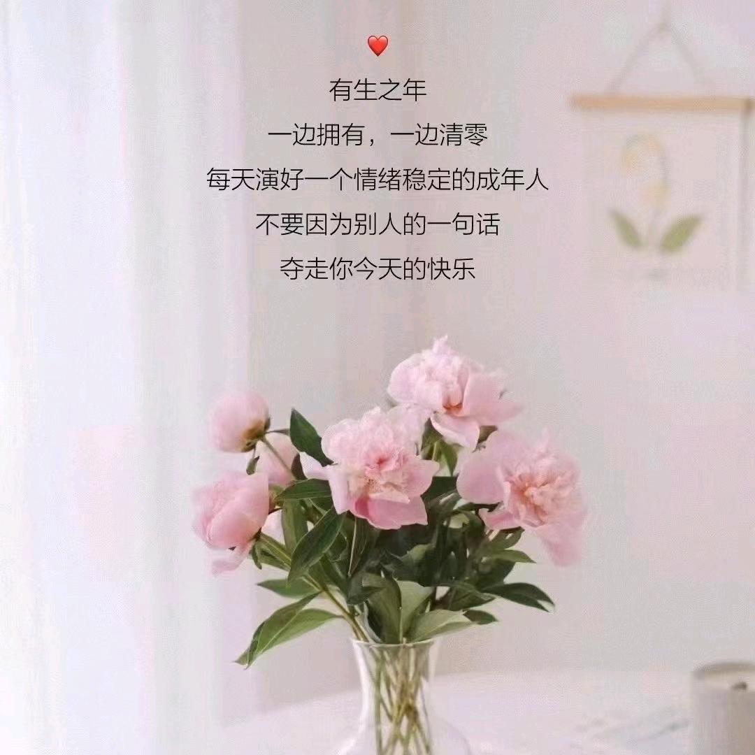 ✿时光✿浅巷✿