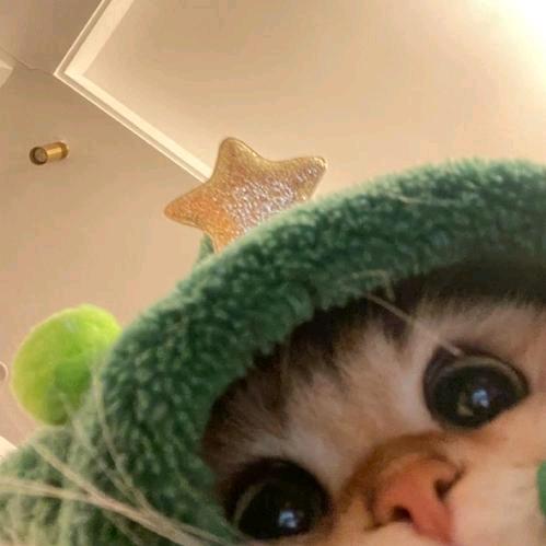 朴.