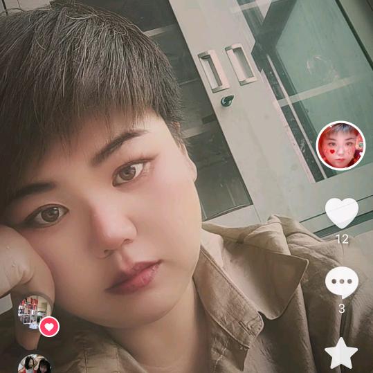 白茅根，车前草，大青叶，苦地丁，甜地钉等