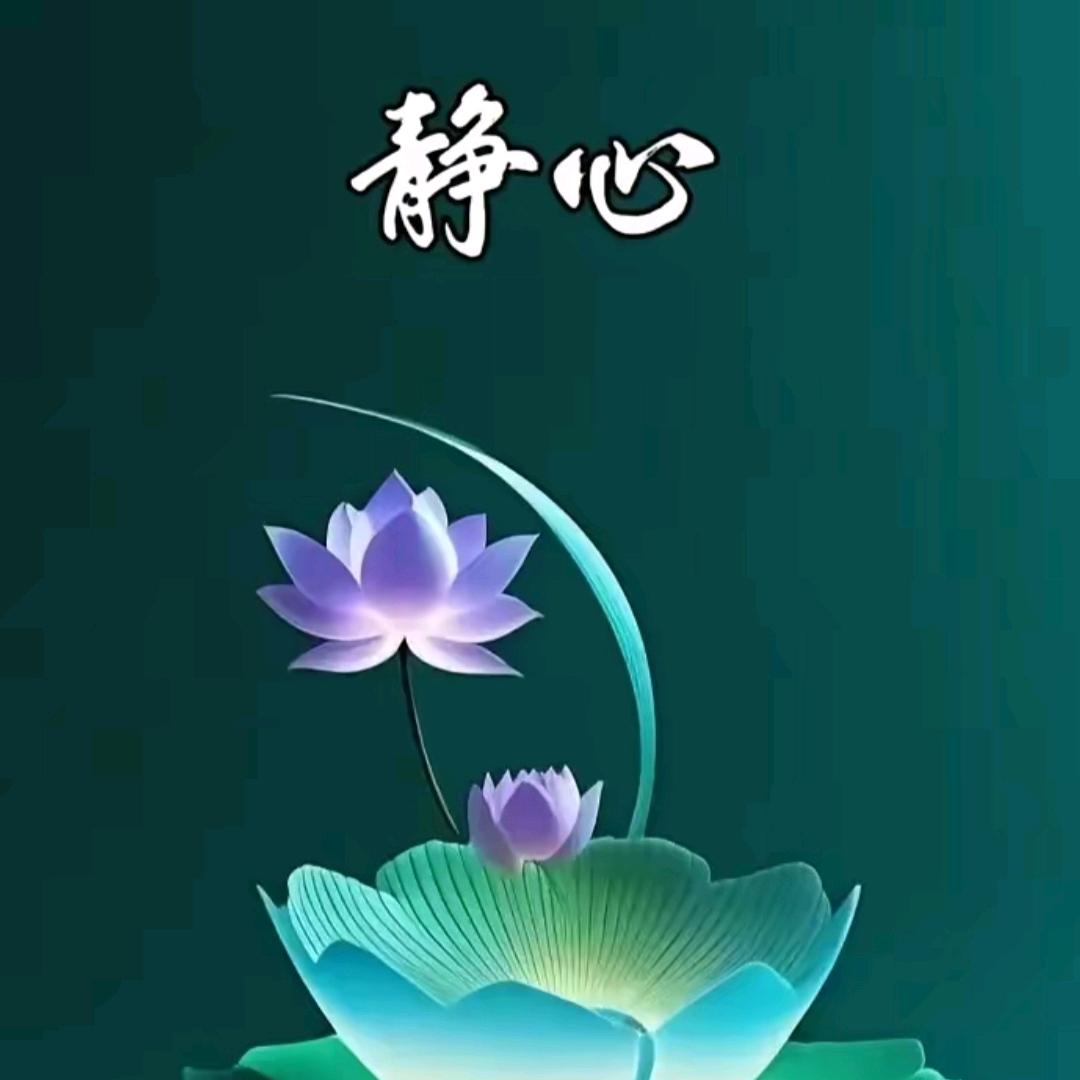 流年淡漠忘红尘