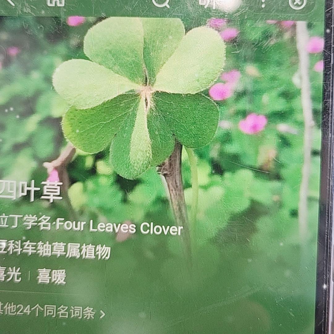 @福娃