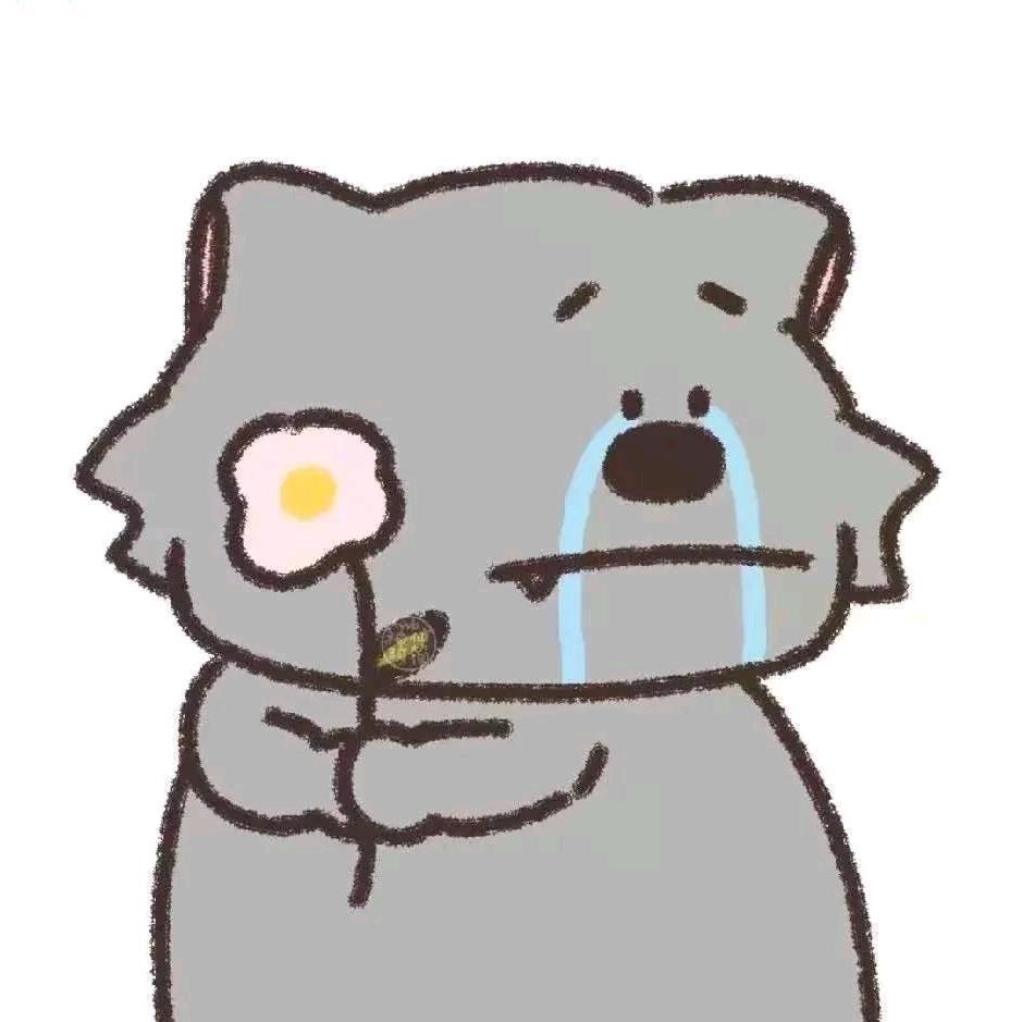 小鲨鱼~