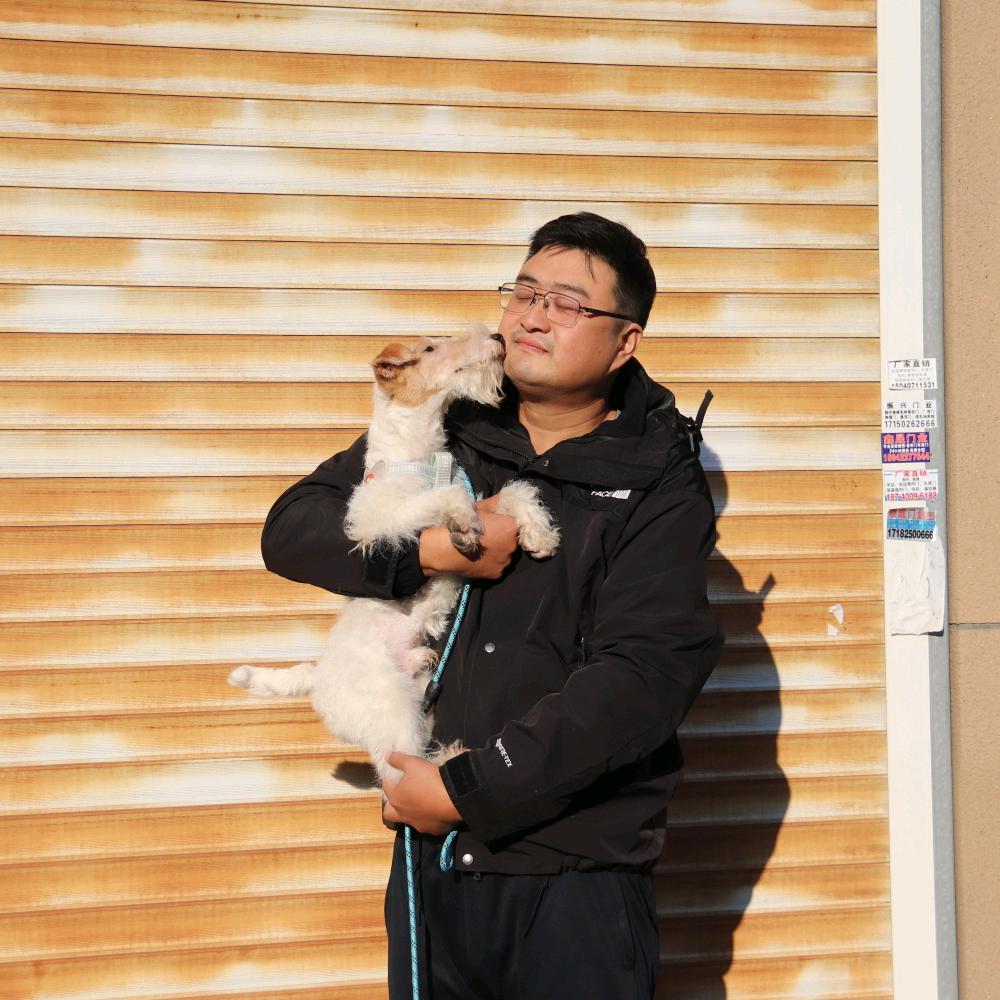 教练玩梗（露露家刚毛猎狐梗）