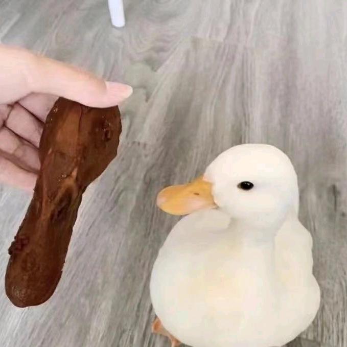 中午吃不到晚饭