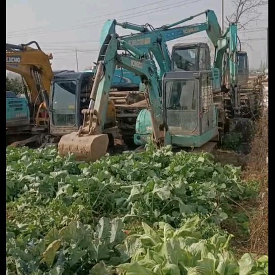 阳光挖机租赁(收割机租赁)