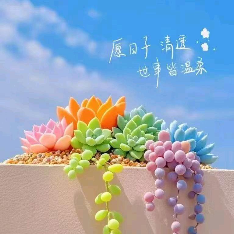 心静