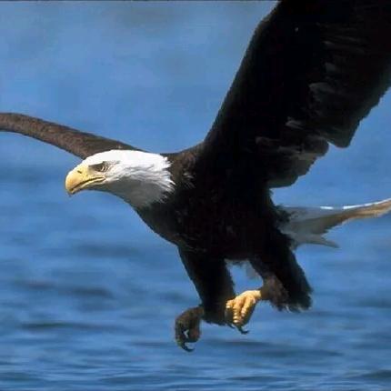 এ濃煙໌ᮨ🚬伴烈酒🍶དྷ༗࿐