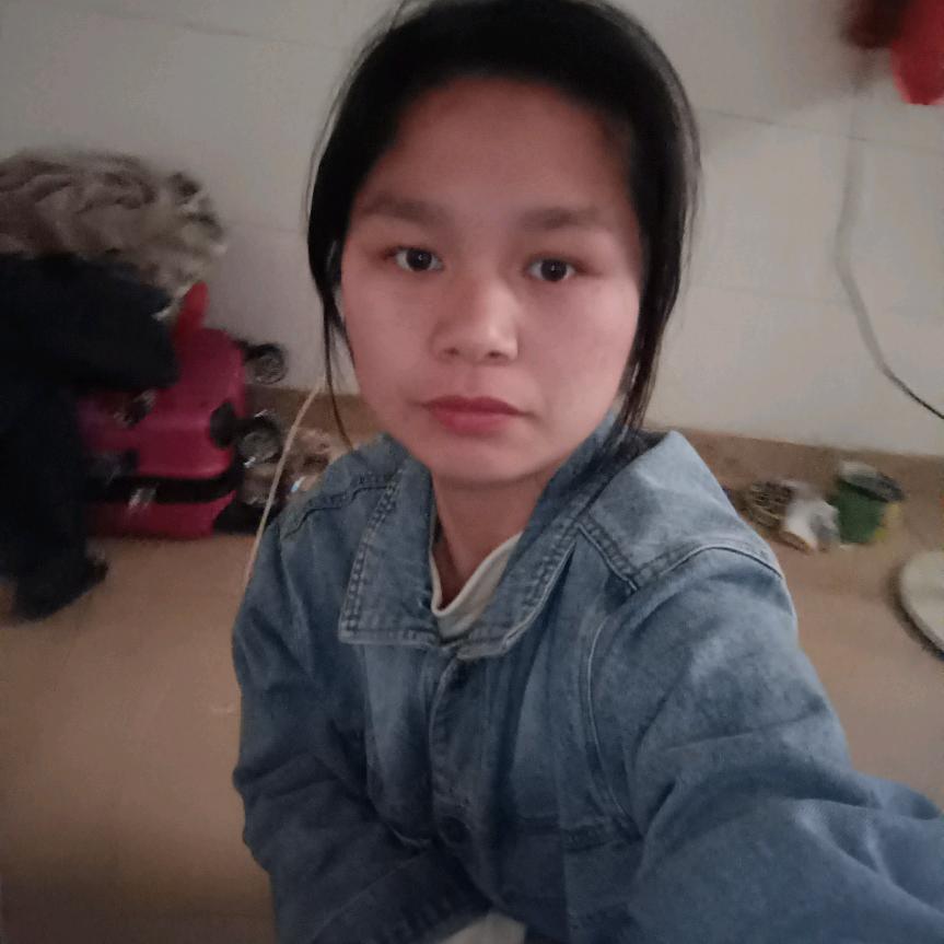 南方燕子
