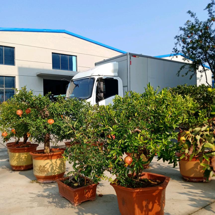 源同学卫生用品