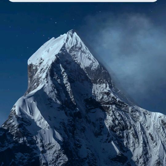 金圆