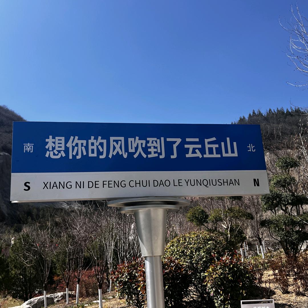 梦里梦的人