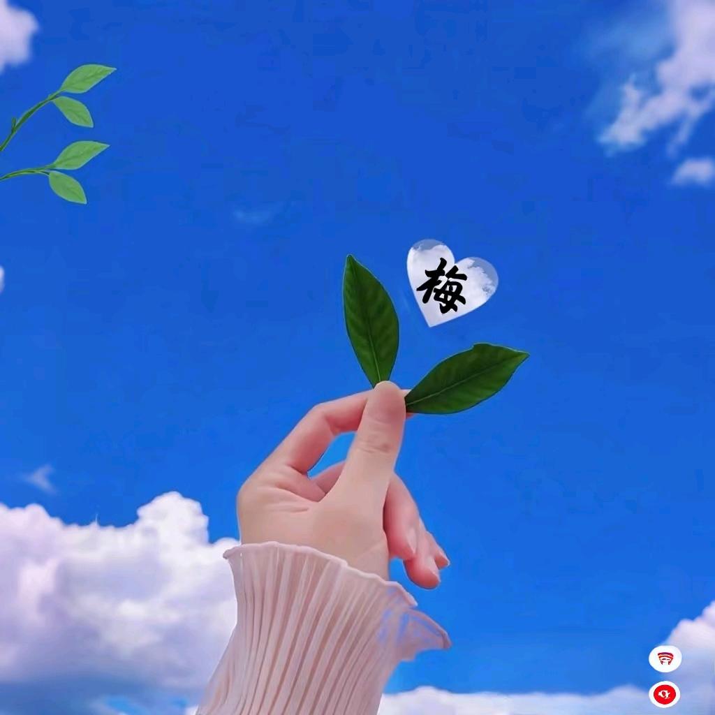柠檬🍋很酸