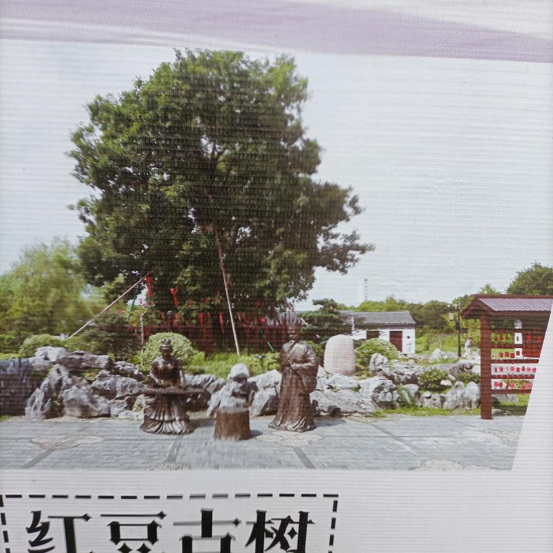 随心所欲