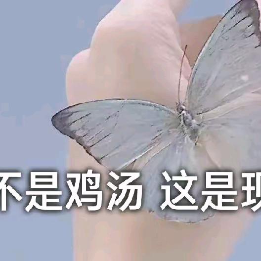 🔥一切顺遂如愿🔥