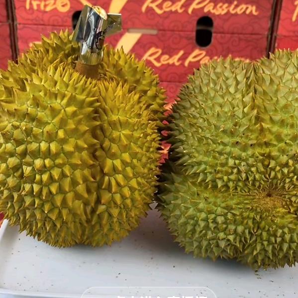 幸福快乐的时光