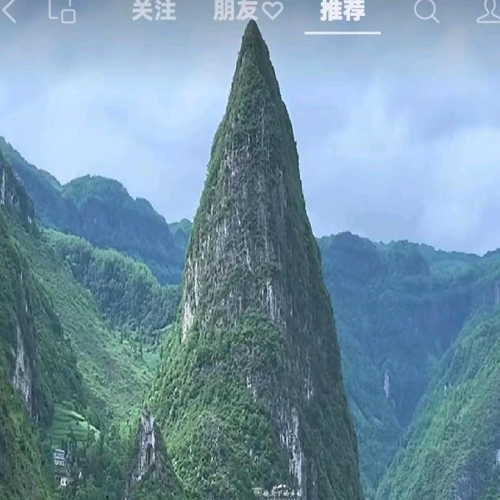 闲童