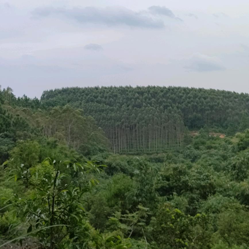 零点