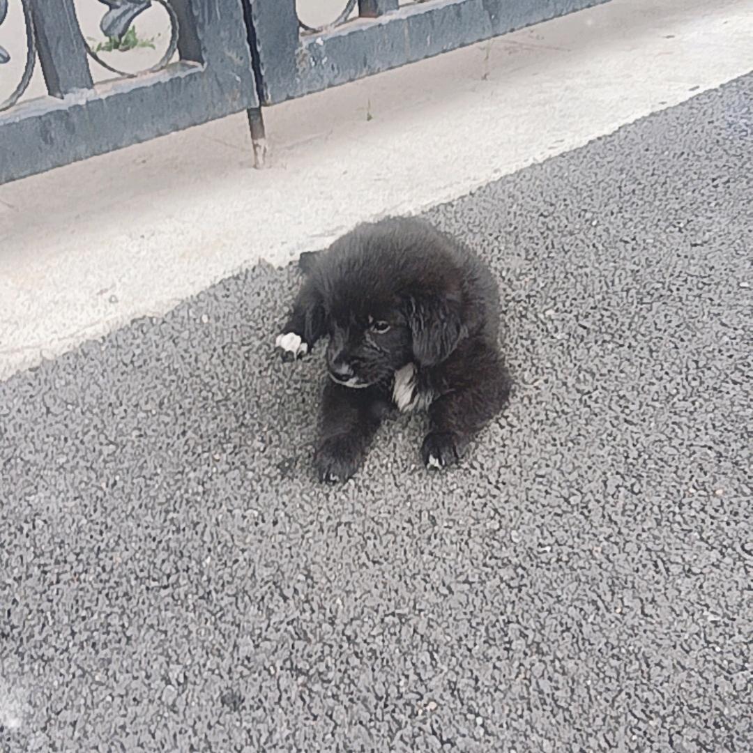 沉默寡言
