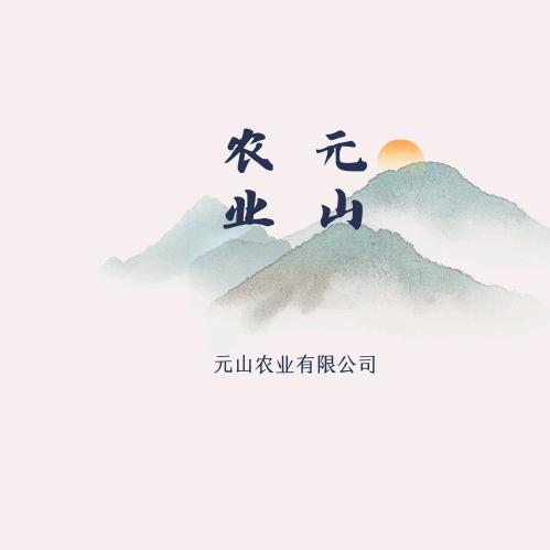 元山爸爸