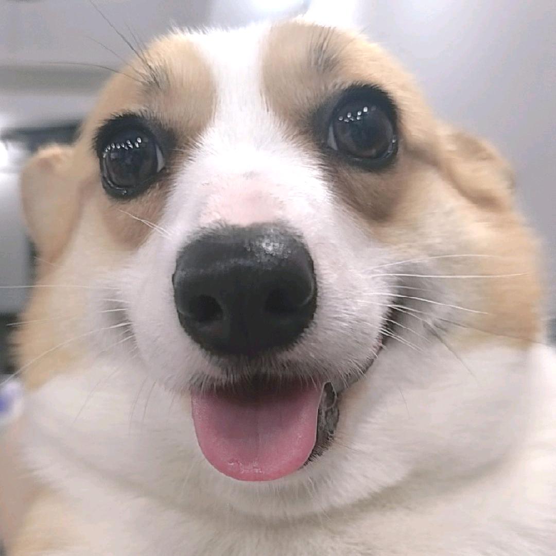 闹闹吖！