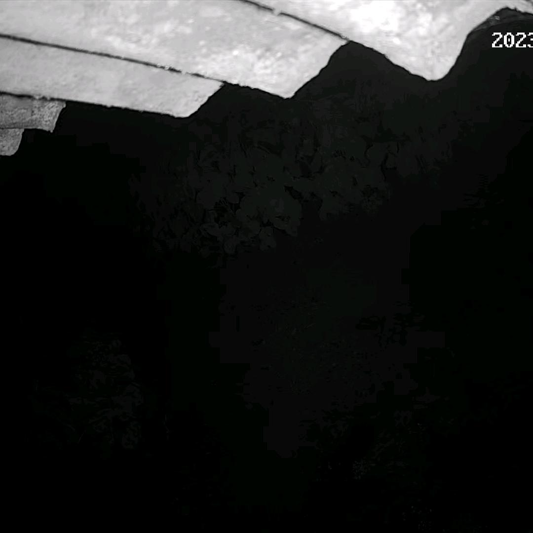 用户6528703771981