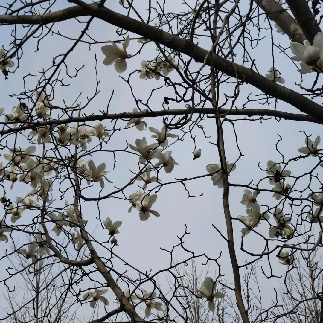 用户4300343535249lpj