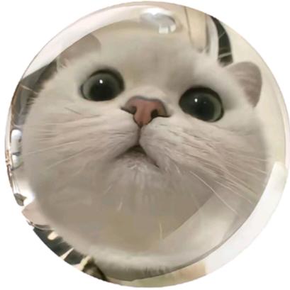 圈圈o