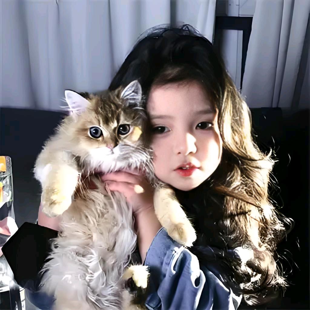 尽欢ღ
