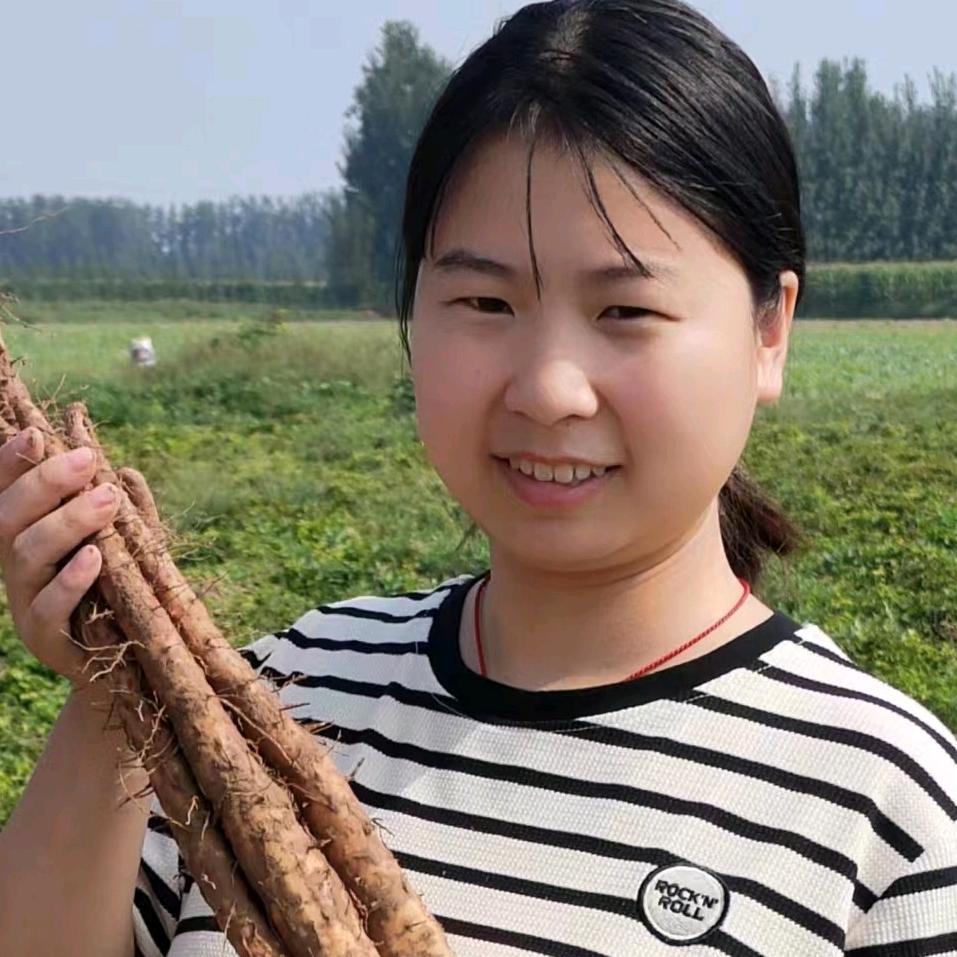 阿灿家铁棍山药【怀山药】