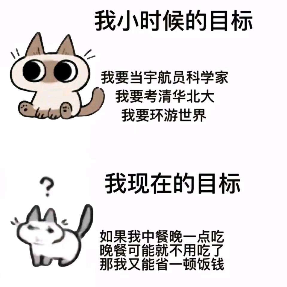 陶