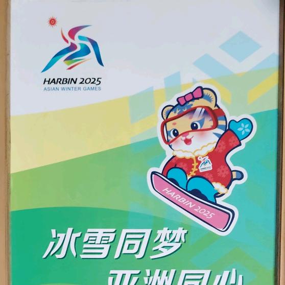 聪聪