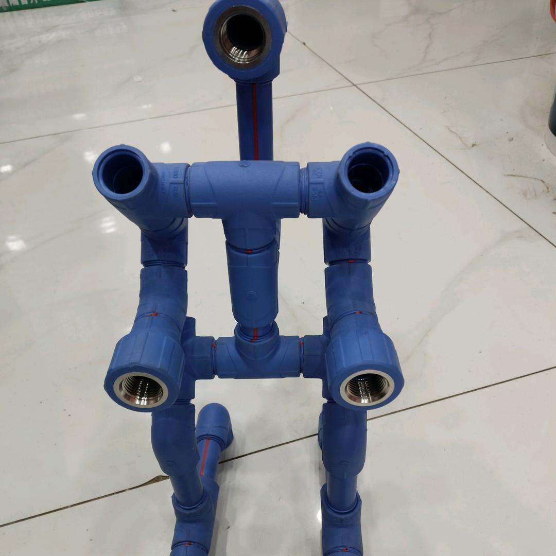 阳