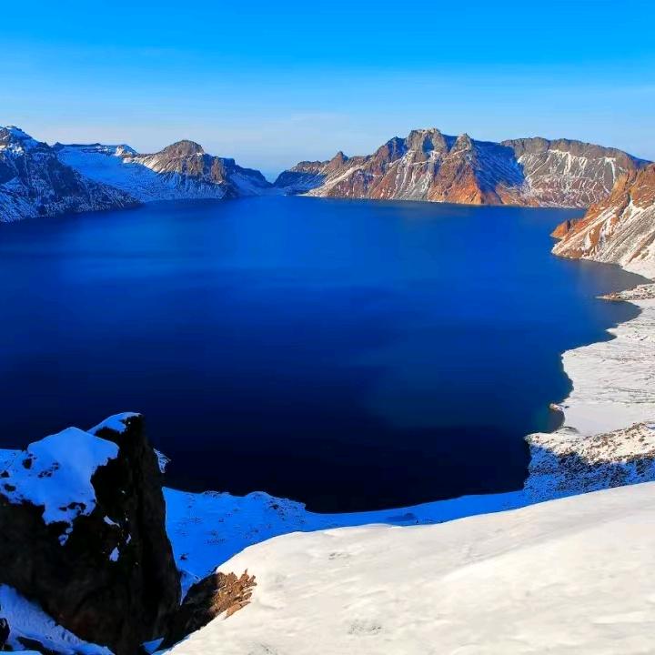 文雯的富贵花开