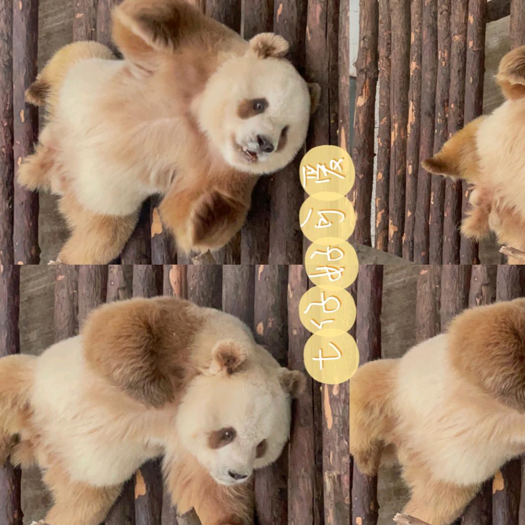 ღ᭄风吹ꫛ萤火💞