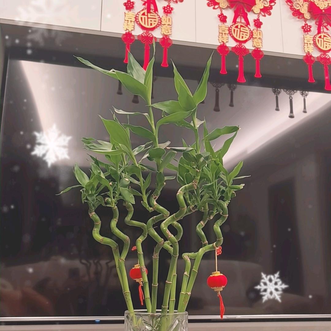 汽车配件（零售）批发