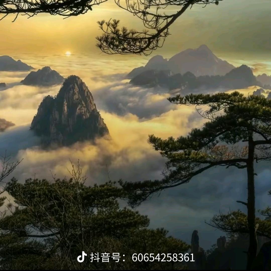 🌈居然是恐龙🤡🌈