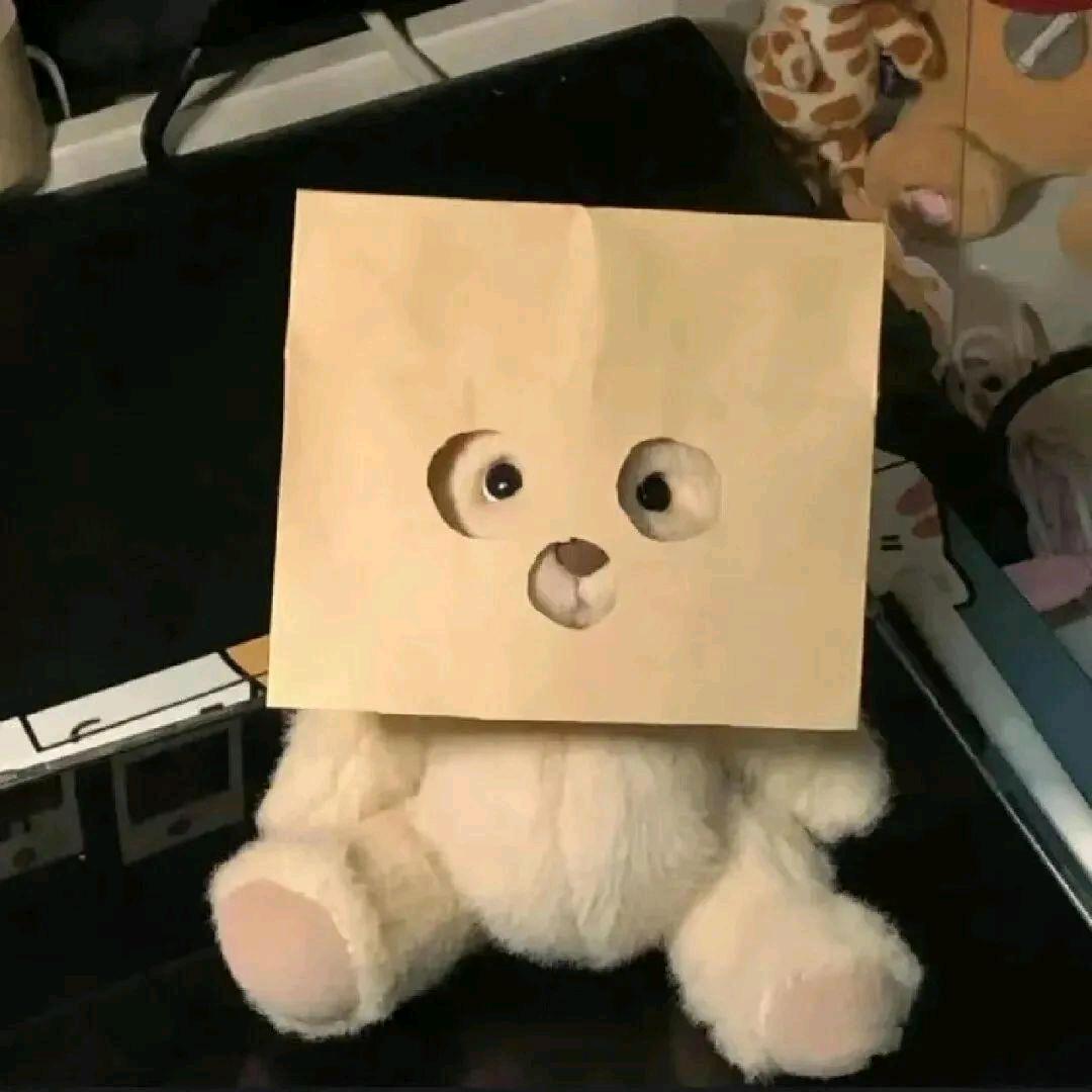 不会飞的壮壮