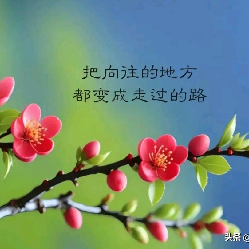 至高天神殿的李管家头像