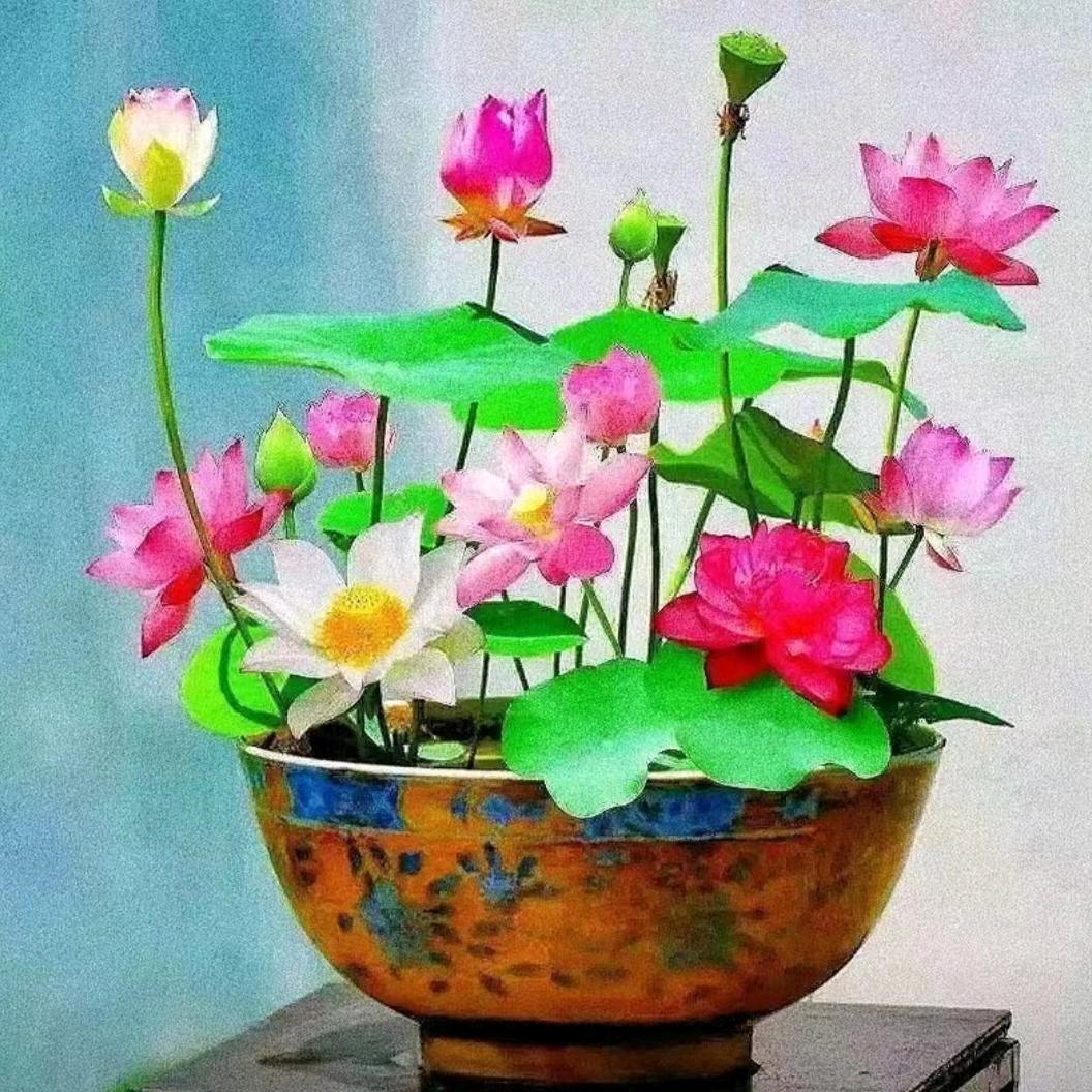 用户€