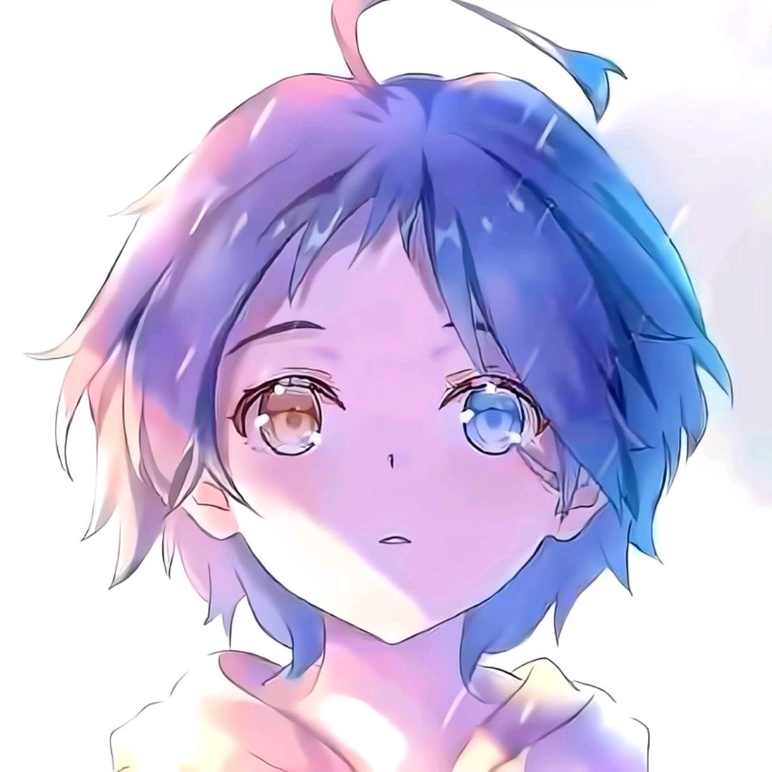 日落的海