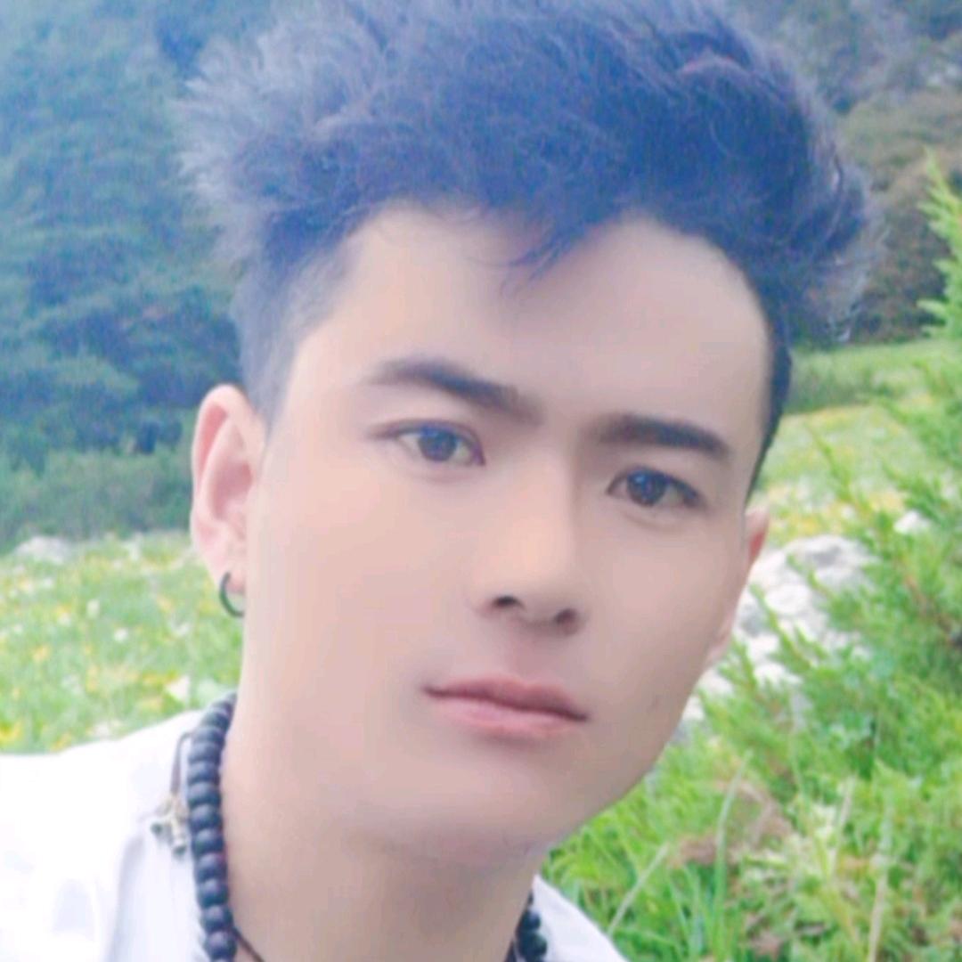藏区牛王